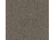 Fitted carpet Tapibel Coral 58309 - high quality at the best price in Ukraine