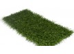 Grass Congrass AMSTERDAM 30 - high quality at the best price in Ukraine - image 2.