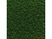 Fitted carpet artificial Grass Blackburn 20 - high quality at the best price in Ukraine