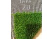 Штучна трава Congrass Java 20 - Висока якість за найкращою ціною в Україні - зображення 2.