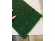 Grass Orotex Parkland - high quality at the best price in Ukraine - image 4.