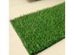Grass Congrass TROPICANA 15 - high quality at the best price in Ukraine - image 3.