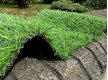 Искусственная трава Landgrass 30 - высокое качество по лучшей цене в Украине - изображение 3.