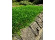 Grass Landgrass 40 - high quality at the best price in Ukraine