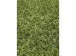 Grass Landgrass 15 - high quality at the best price in Ukraine - image 3.