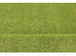 Аrtificial grass Alvira - high quality at the best price in Ukraine - image 3.