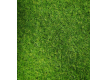 Аrtificial grass Condor Grass Apollo 25 - high quality at the best price in Ukraine