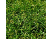 Искусственная трава  Condor Grass Apollo 25 - высокое качество по лучшей цене в Украине - изображение 3.