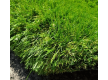 Аrtificial grass Condor Grass Apollo 38 - high quality at the best price in Ukraine