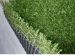 Искусственная трава JULIETTE 40/28st. - высокое качество по лучшей цене в Украине - изображение 2.