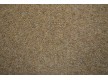 Fitted carpet for home Buckingham 92 - high quality at the best price in Ukraine