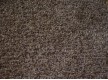 Fitted carpet for home Dragon 11431 - high quality at the best price in Ukraine
