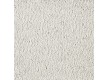 Carpet for home BIG DUCHESSE Deluxe 302 - high quality at the best price in Ukraine