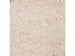 Carpet for home BIG DUCHESSE Deluxe 312 - high quality at the best price in Ukraine