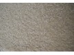 Fitted carpet for home AW Gloria 04 - high quality at the best price in Ukraine
