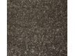 Fitted carpet for home AW Gloria 46 - high quality at the best price in Ukraine - image 5.