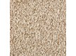 Carpet for home BIG GODIVA 312 - high quality at the best price in Ukraine
