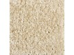 Carpet for home BIG GODIVA 334 - high quality at the best price in Ukraine