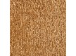 Carpet for home BIG GODIVA 338 - high quality at the best price in Ukraine