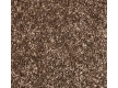 Household carpet AW Omnia 42 - high quality at the best price in Ukraine