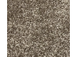 Household carpet AW Omnia 49 - high quality at the best price in Ukraine - image 2.
