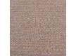 Household carpet Pegas 52 - high quality at the best price in Ukraine