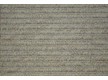 Fitted carpet for home Safari 91649 - high quality at the best price in Ukraine