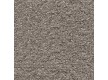 Fitted carpet for home Satisfaction 39 - high quality at the best price in Ukraine