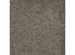 Fitted carpet for home Sensation 44 - high quality at the best price in Ukraine