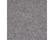 Fitted carpet for home Tempo 73 - high quality at the best price in Ukraine