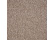 Domestic fitted carpet Supernova 103 - high quality at the best price in Ukraine