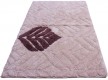 Carpet for bathroom Banio 5734 beige-brown - high quality at the best price in Ukraine