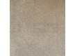 Domestic fitted carpet Viva 1 - high quality at the best price in Ukraine