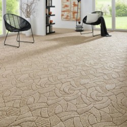 Carpet for the house