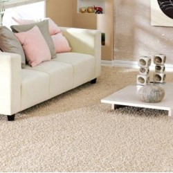 Home carpet - quality, but cheap cover