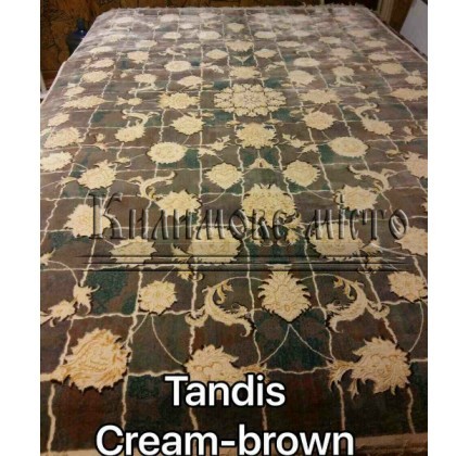 Iranian carpet Diba Carpet Tandis cream-brown - высокое качество по лучшей цене в Украине.