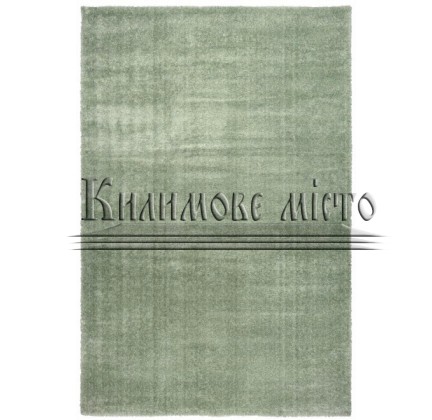 Shaggy carpet Leve 01820A L.Green - высокое качество по лучшей цене в Украине.