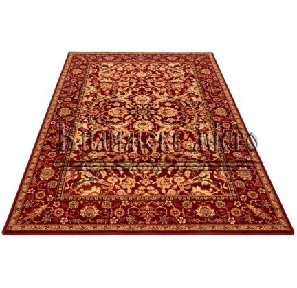 Шерстяний килим Agnus Stolnik Rubin - высокое качество по лучшей цене в Украине.