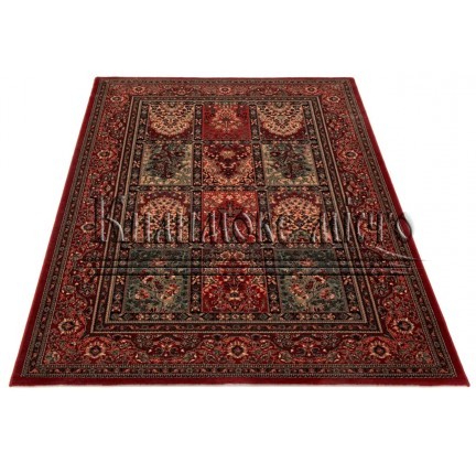 Шерстяний килим Kashqai 4325 300 - высокое качество по лучшей цене в Украине.