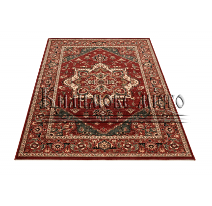 Шерстяний килим Kashqai 4354 300 - высокое качество по лучшей цене в Украине.