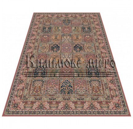 Wool carpet Nain 1258-676 rose - высокое качество по лучшей цене в Украине.