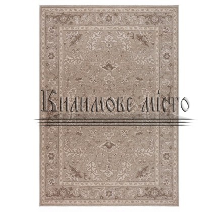 Wool carpet Oriental 7017 , 50977 - высокое качество по лучшей цене в Украине.