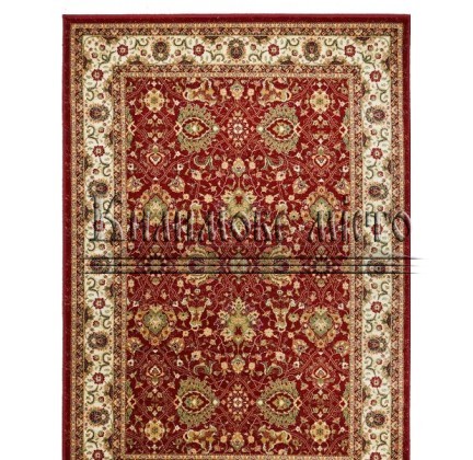 Wool carpet Premiera 2184-50666 - высокое качество по лучшей цене в Украине.