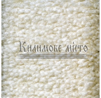 Carpet for home Polo 115 - высокое качество по лучшей цене в Украине.
