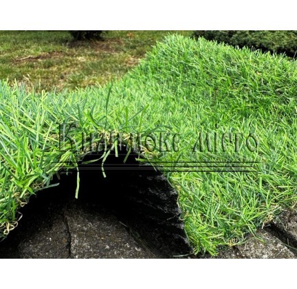 Grass Landgrass 20 - высокое качество по лучшей цене в Украине.