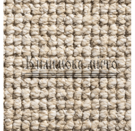 Household carpet Timzo Daytona 7614 - высокое качество по лучшей цене в Украине.