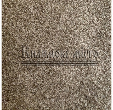Domestic fitted carpet Condor Dolche 76 - высокое качество по лучшей цене в Украине.