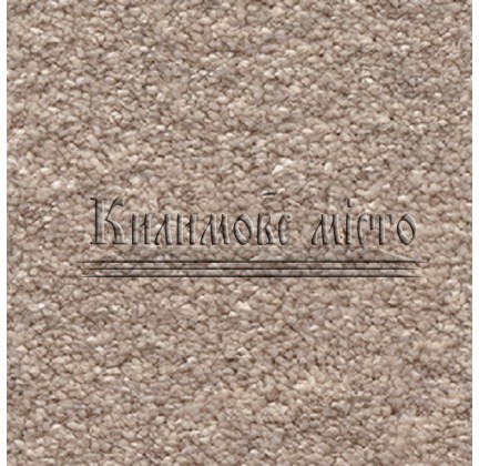 Fitted carpet for home Satisfaction 36 - высокое качество по лучшей цене в Украине.