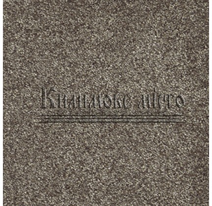 Fitted carpet for home Sensation 44 - высокое качество по лучшей цене в Украине.