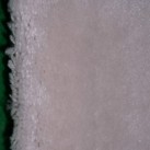Акриловый ковер Carmina 0031 cream-brown - высокое качество по лучшей цене в Украине изображение 3.